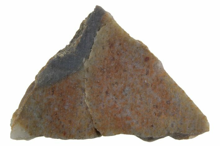 Lunar Meteorite Slice ( g) - NWA #360318